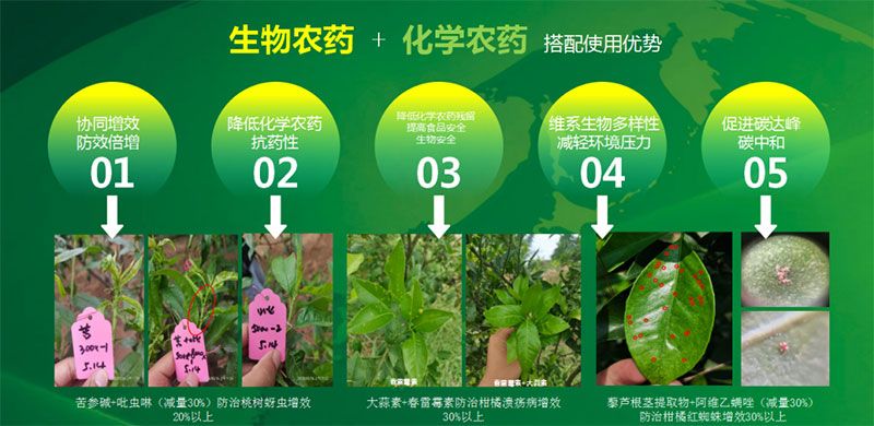 新朝陽在第六屆中國農藥行業市場和銷售高峰論壇做“生物農藥+化學農藥，引領植保市場未來”主題報告