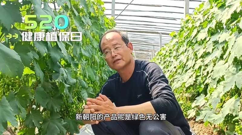 520健康植保日——擁抱綠色農業，我們在行動